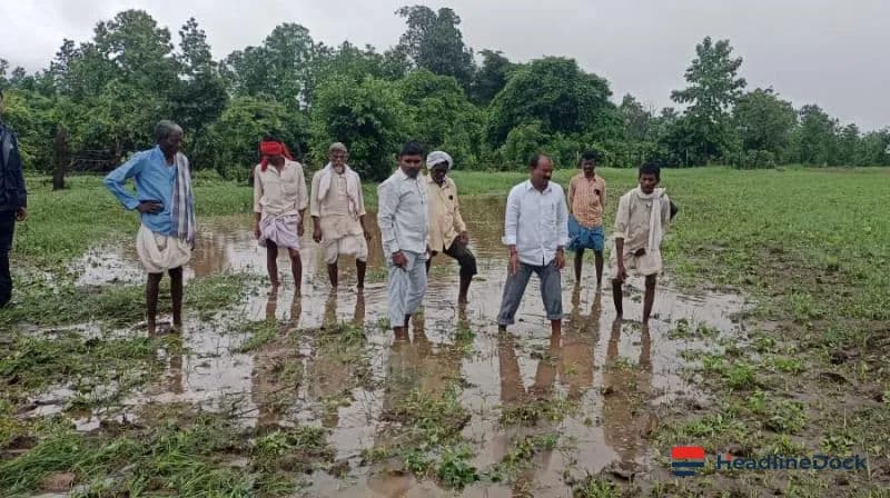 Recent Rainfall Brings Much-Needed Relief to Farmers in Erstwhile Adilabad District