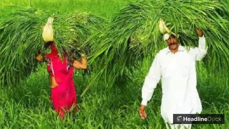 DMK Government Delivers Over Rs 37.8 Million to Marginalized Tamil Nadu Families