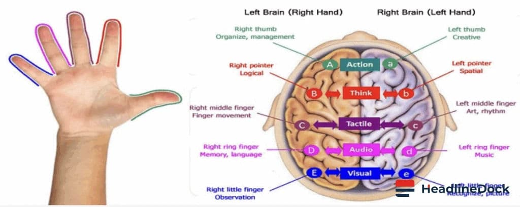 Can Wiggling Your Pinky Really Stop Cognitive Decline? The Truth Explained
