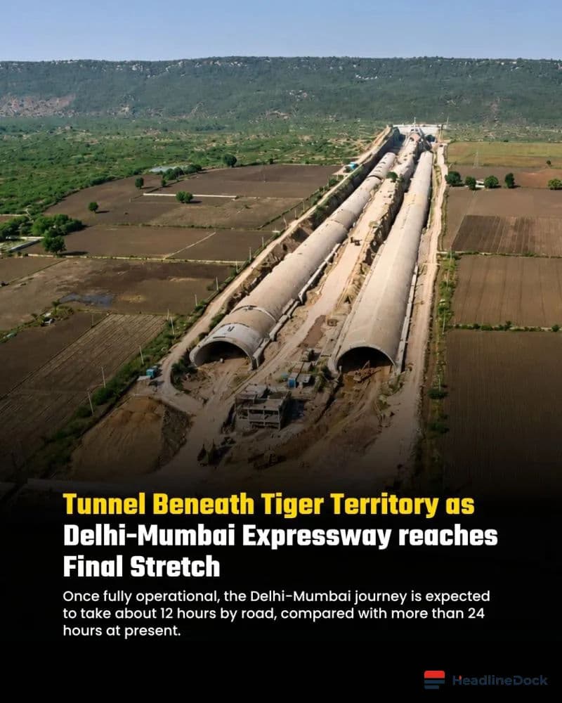Delhi-Mumbai Expressway: India’s First 8-Lane Tiger Tunnel Under a Forest