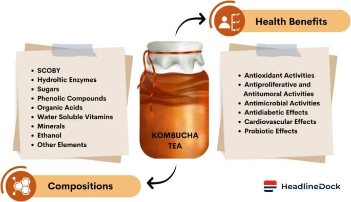 The Kombucha Paradox: Measuring the Real Impact on Human Health and Wellbeing
