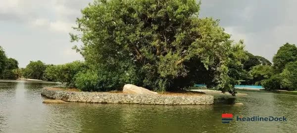 Gabion Walls Shield Seven Islands at Ranganathittu Bird Sanctuary from Erosion
