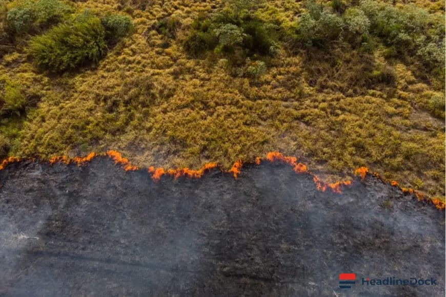 Why Tangible Climate Warnings Are Crucial for Preventing Future Disasters