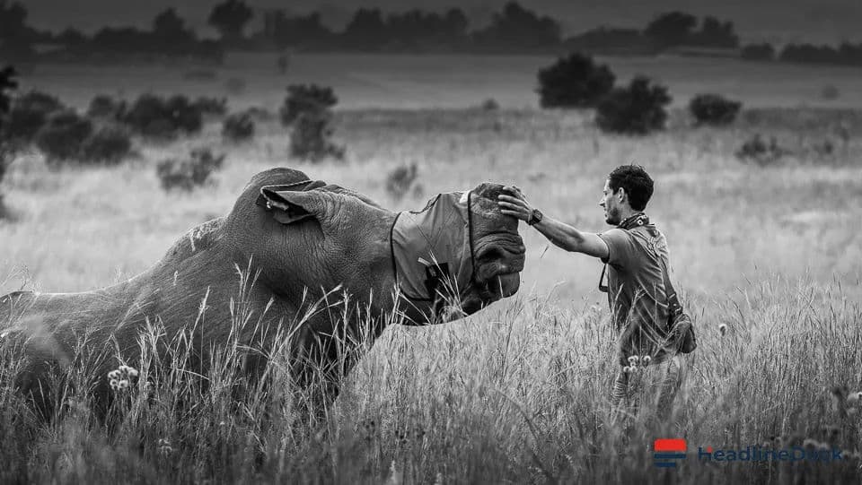 How Changing Wildlife-Human Interactions Shape the Future of Global Conservation