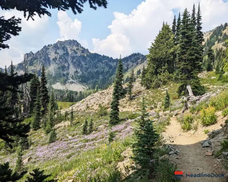 US Roadless Rule Rollback Threatens Wildlife, Water and Quiet Wilderness Areas