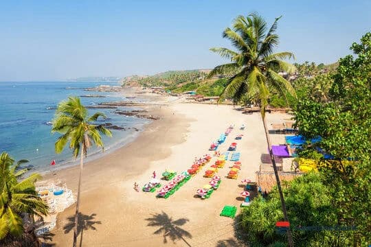 Tourist Tragic Death After Being Swept Away at Baga Beach in Goa