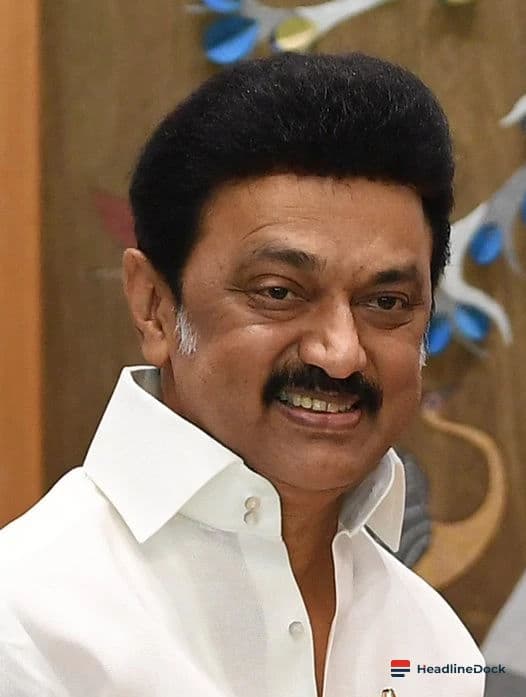 Tamil Nadu CM Vijay Celebrates 52nd Birthday with Grand Fireworks Display in Sivakasi