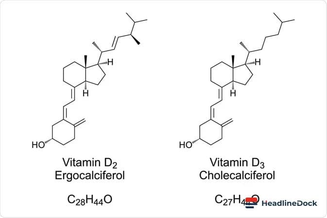 The Hidden Power of Vitamin D: Understanding Its Crucial Health Role