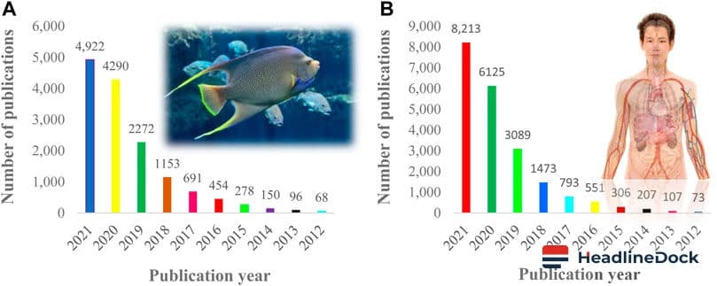Safety Risks: Does Storing Fish in Plastic Packaging Harm Your Health?