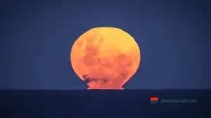 Strawberry Moon Tonight: Everything to Know About the 2026 Micromoon Event