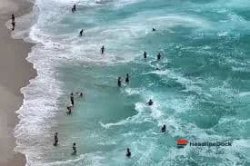 Global Ocean Temperatures Hit Record Highs, Raising Fears of Uncharted Territory