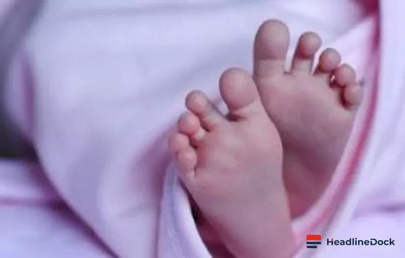 Telugu Infant Tragically Dies After Falling from Moving Vehicle in California