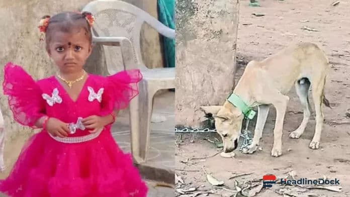 Official Search Operations Conclude for Missing Girl in Kakinada District