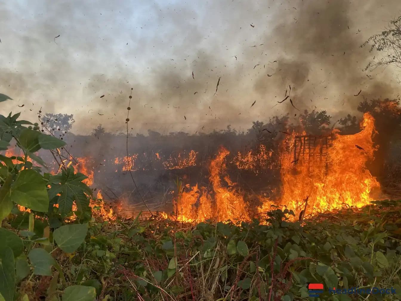 How Angola's Long War Changed Farmer Fire Usage and Why It Matters