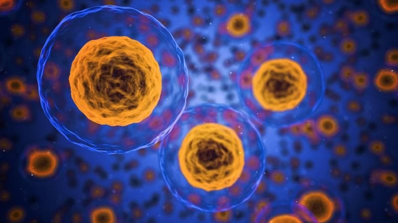 Rise in Stem Cell Transplants Under Aarogyasri Scheme