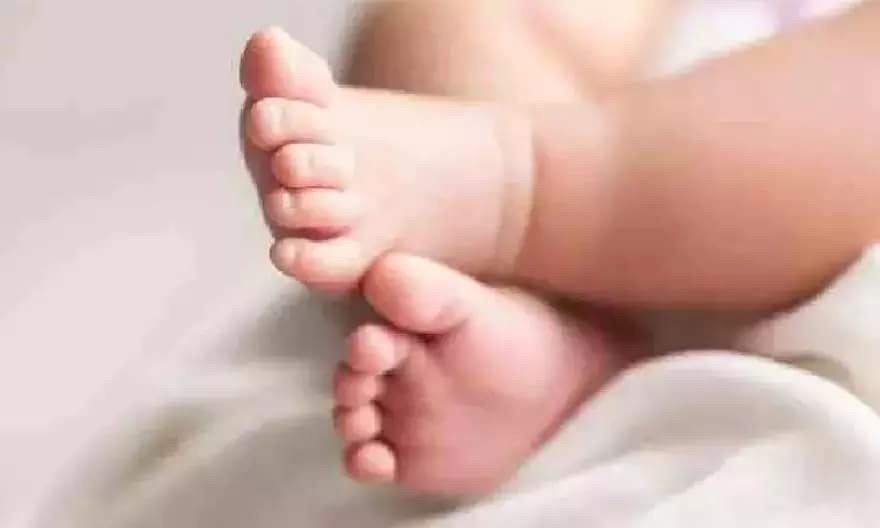 Delhi Couple Alleges IVF Embryo Mix-Up Following Shocking DNA Test Results