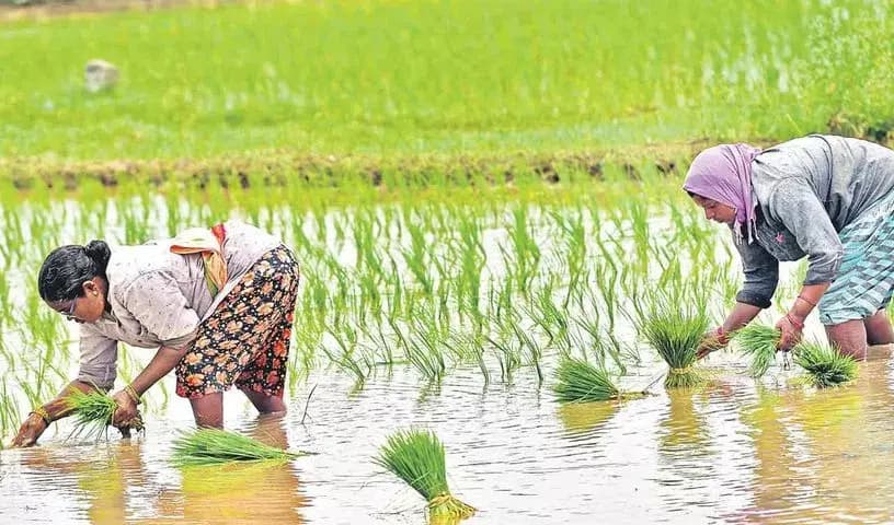 Rayalaseema Farmers Face Growing Concerns Amid Crop Input Increase