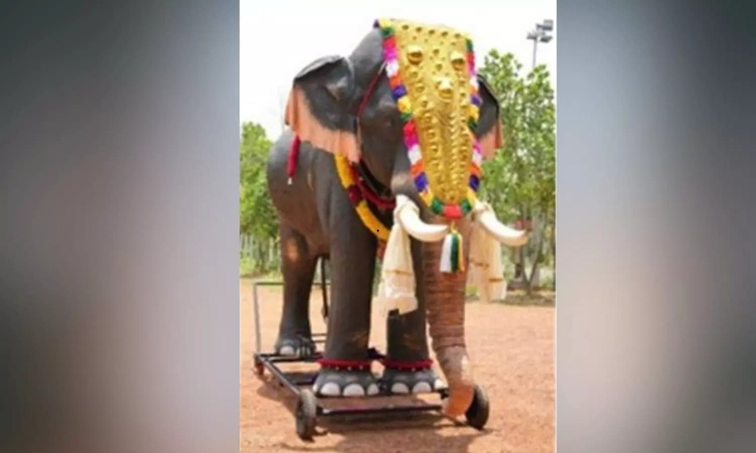 PETA Proposes Mechanical Elephant for Muharram Procession