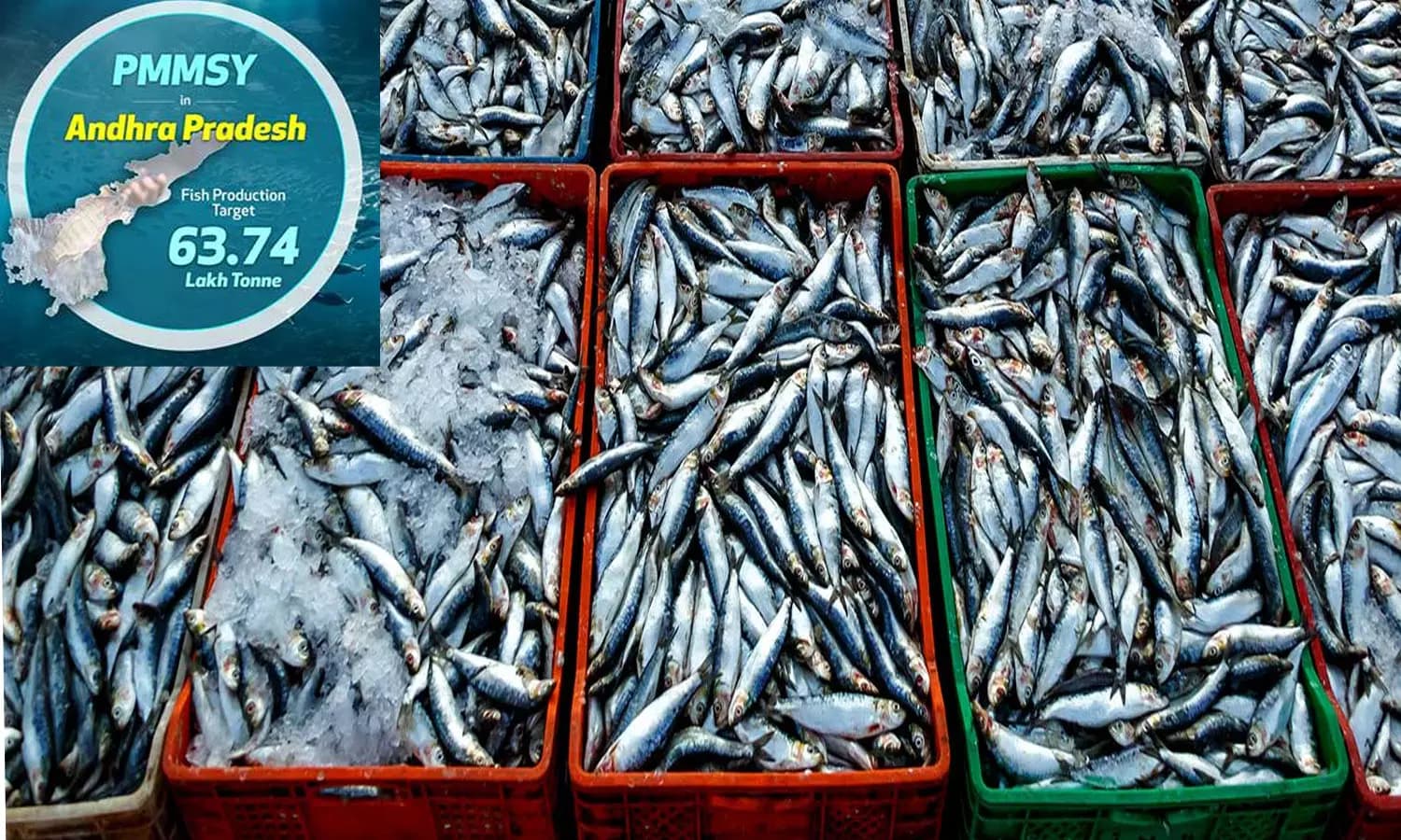 National Workshop Seeks to Boost India's Seafood Exports