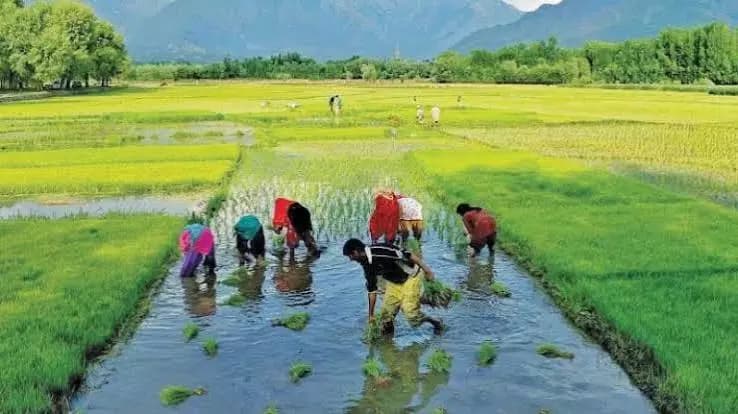 Agriculture Department Prepares for El Nino Monsoon Impact for Kharif Season