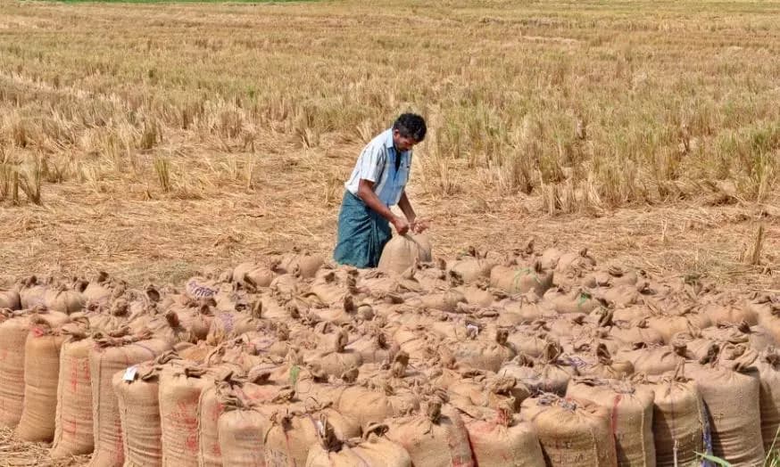 High-Level Panel to Overhaul Kharif Procurement Using AI Crop Tracking Technology
