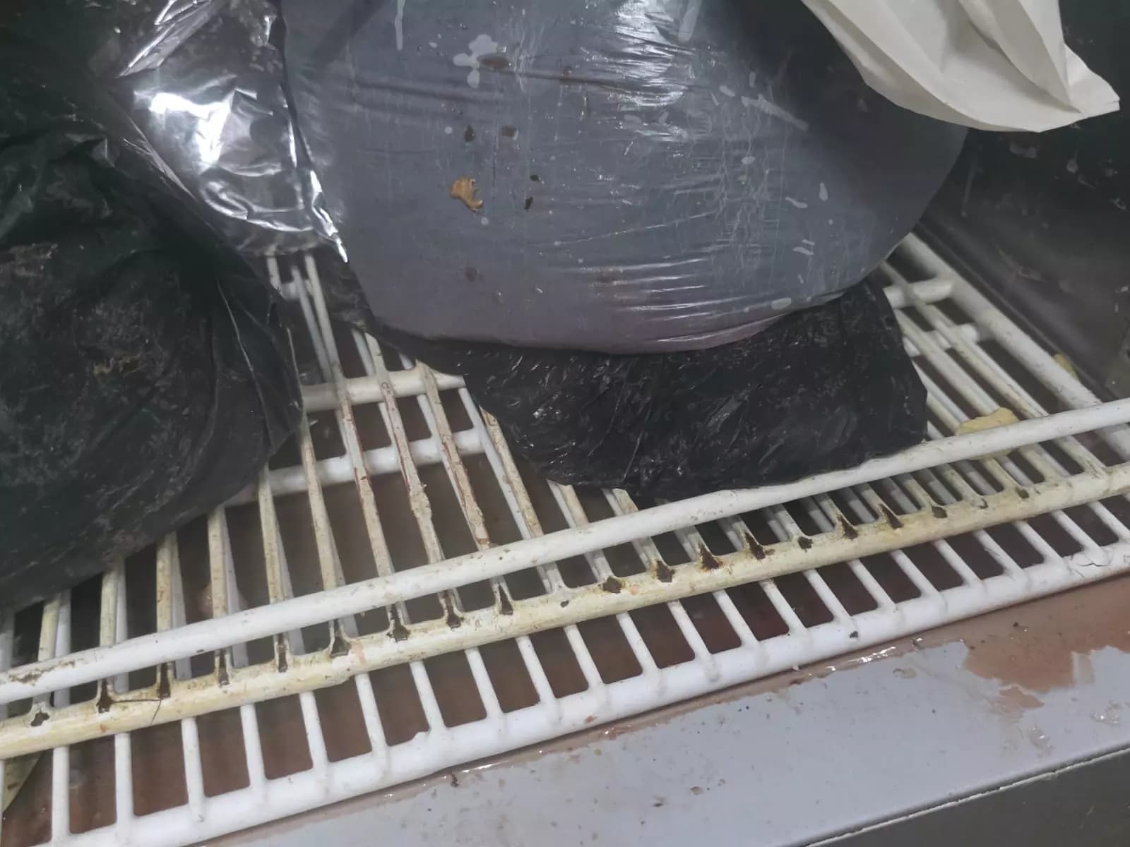 Cyberabad Authorities Direct Kothaguda's 10 Pounder Pizzeteria to Enhance Food Safety Standards