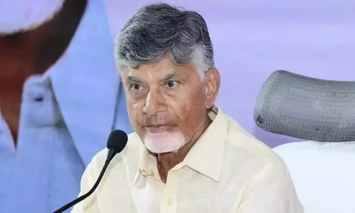 Andhra Pradesh Reduces Aqua Feed Prices Following Chief Minister's Direct Intervention