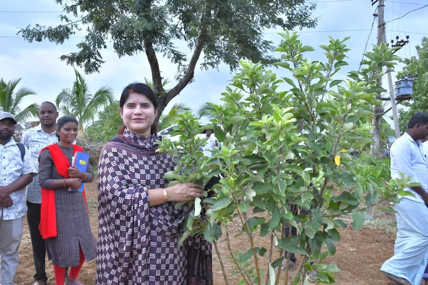 Rayalaseema Farmers Embrace Innovative Horticulture with Apple and Avocado Cultivation