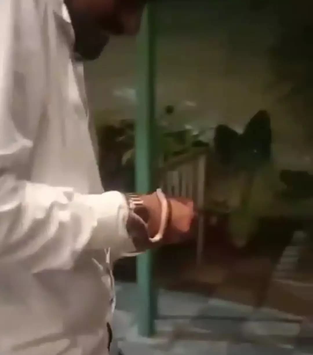 Man Dies After Fatal Encounter While Handling Venomous Snake in Hyderabad