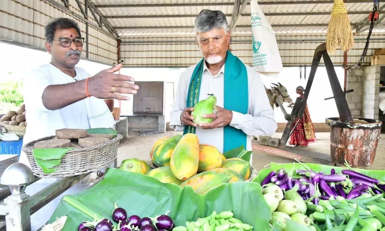 CM Naidu Releases ₹3,125 Crore Aid, Prioritizing Natural Farming in Andhra Pradesh