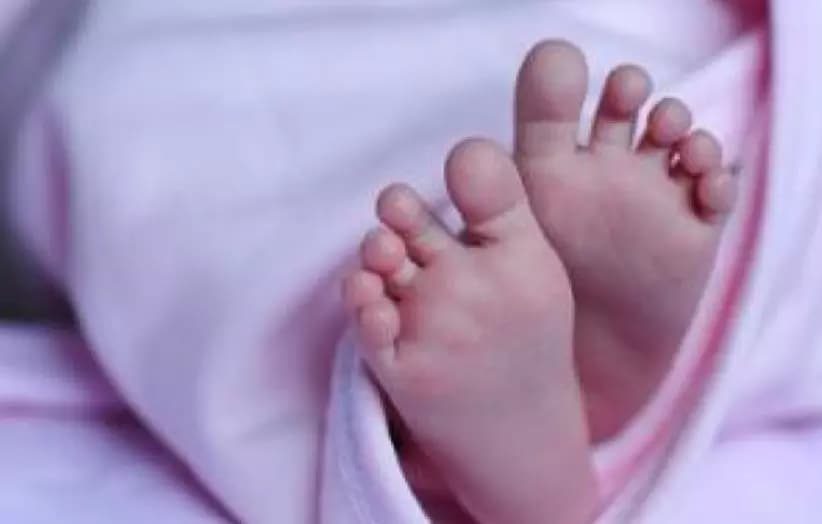 Telugu Infant Tragically Dies After Falling from Moving Vehicle in California