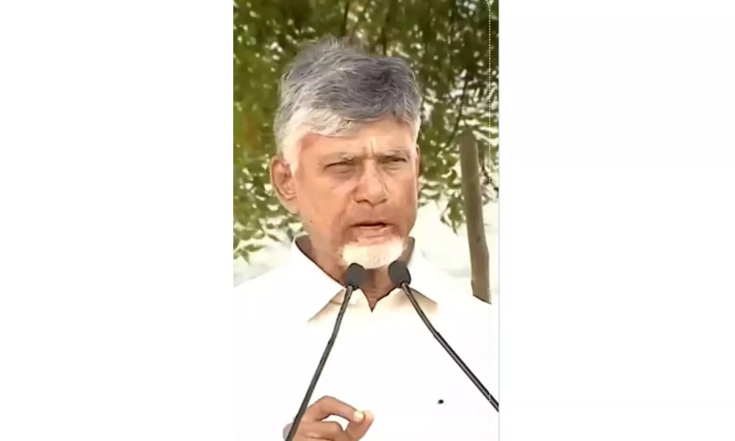 Chandrababu Naidu Credits Public Support for Driving AP Development Goals