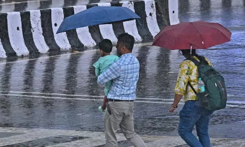 Heavy Rainfall Across Telangana: Khammam District Records Most Significant Precipitation