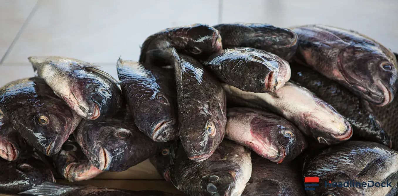 Balancing Nutritional Benefits and Environmental Contaminants in Kenya’s Fish Markets