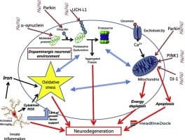 Breakthrough Study Reveals Molecular Drivers of Parkinson's Disease Progression