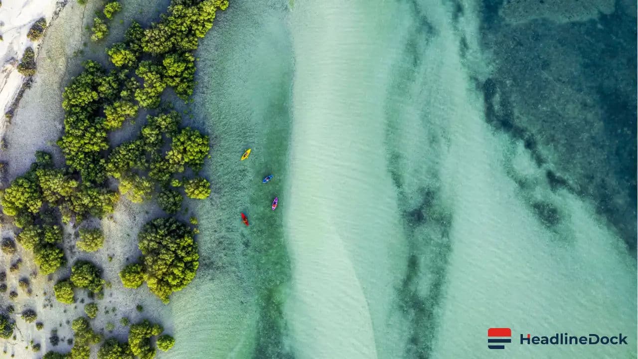 Could Nature Have Legal Rights? The Proposed Constitutional Shift in Mauritius
