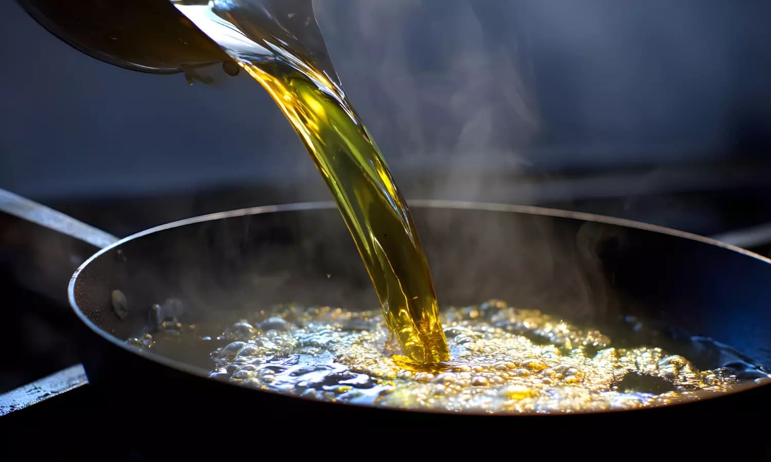 Indian Households Urged to Diversify Cooking Oils