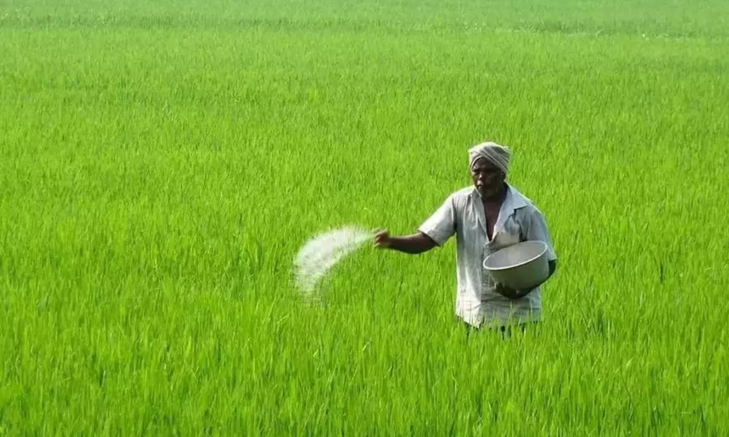 Urea Shortage Looms as Kharif Season Nearest