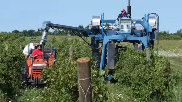 Vermont Bans Paraquat: Paving the Way for Safer Agriculture