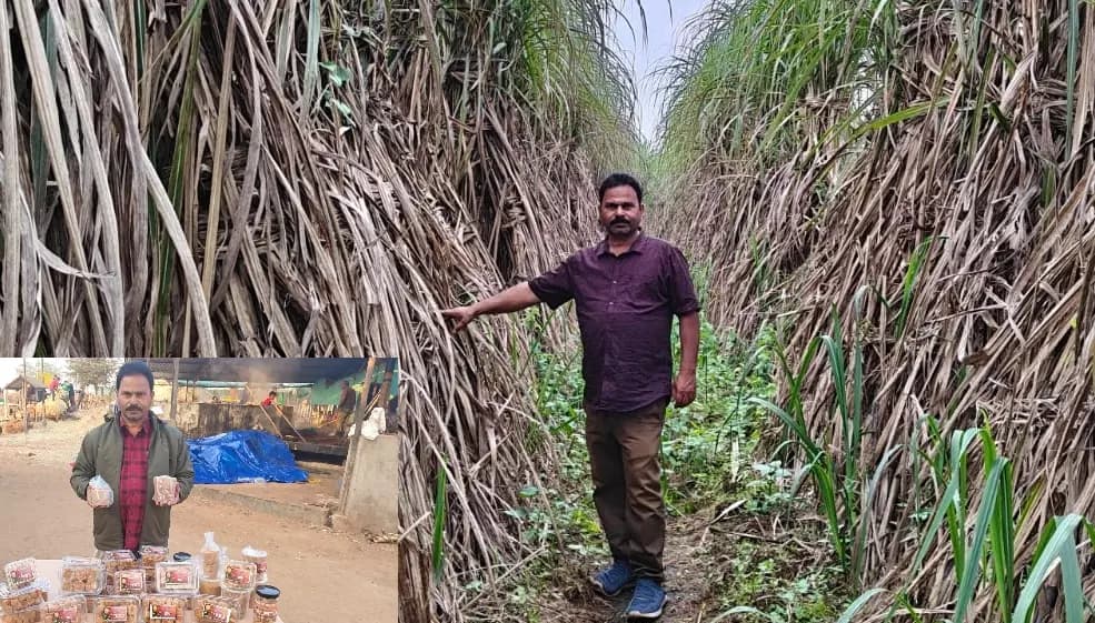 From Farmer to Agri-Entrepreneur: Santosh Mishra's Sugarcane Revolution