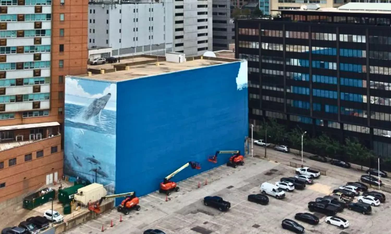 Dallas Whale Mural Artist Sues FIFA Over Destruction