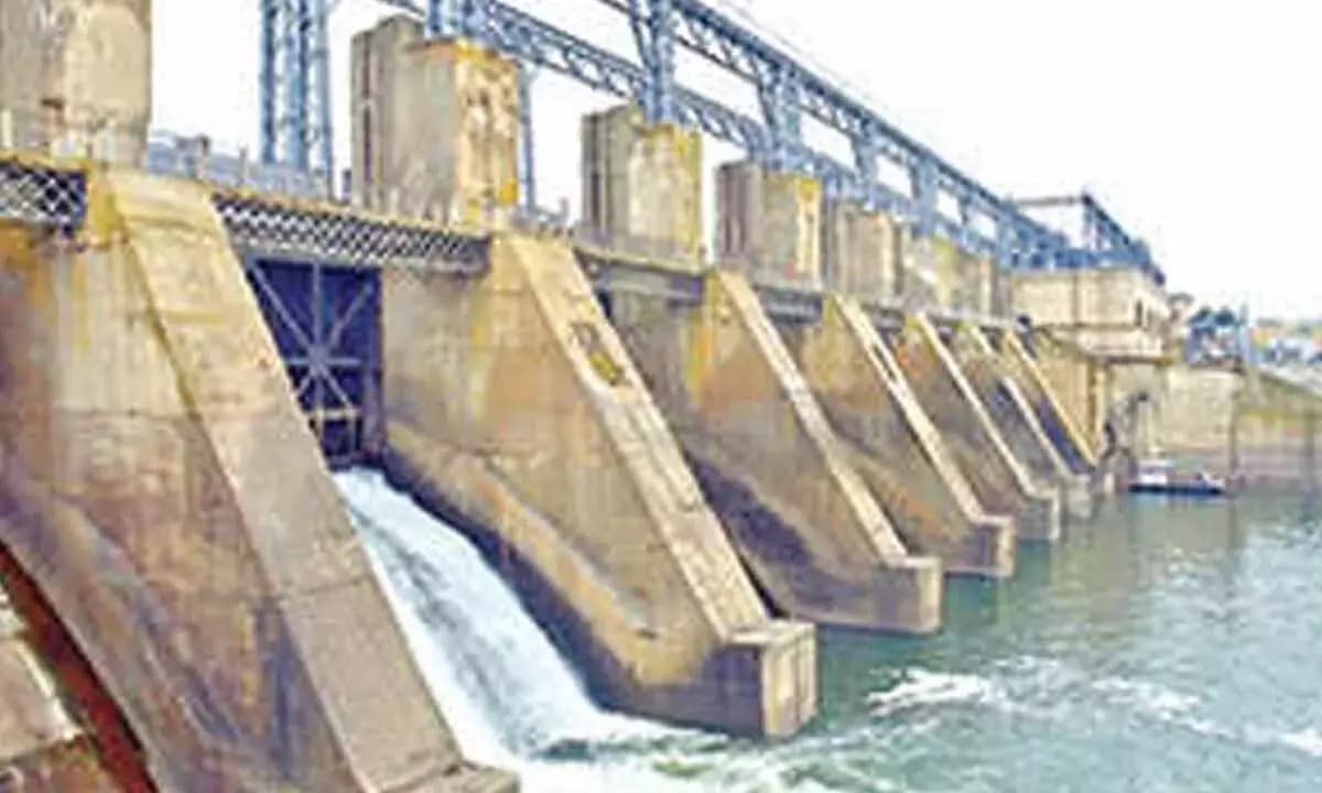 Adivasis Protest Against Hydro Project Surveys in Southern India