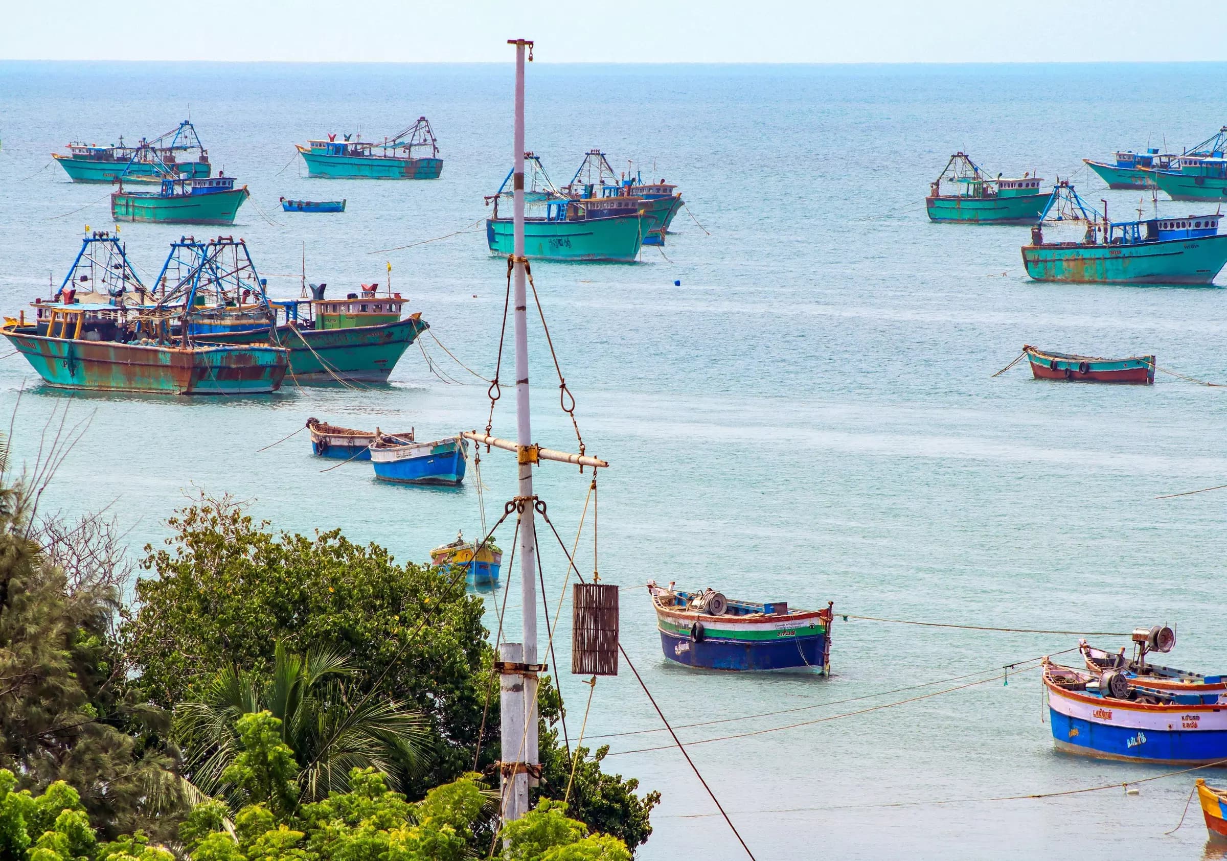 Rameswaram Fishermen Face Pricing Challenges After Annual Fishing Ban Ends