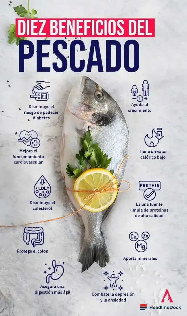 The Healthiest Fish to Eat: Navigating Mercury, Sustainability, and Nutrition