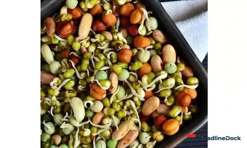 Homegrown Health: Transforming Sprouts into a Modern Nutritional Powerhouse
