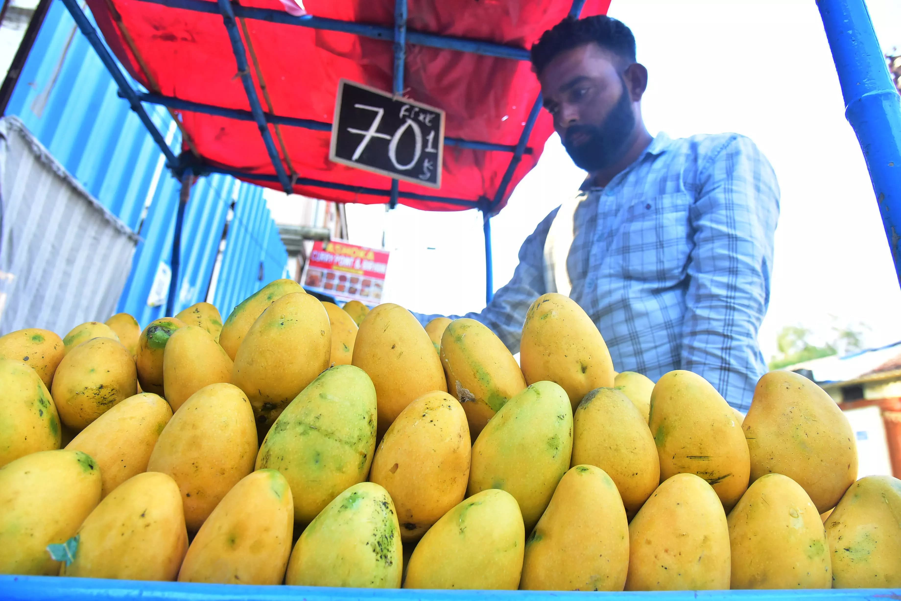 AP Mango Exports Continue Despite Japan Snub