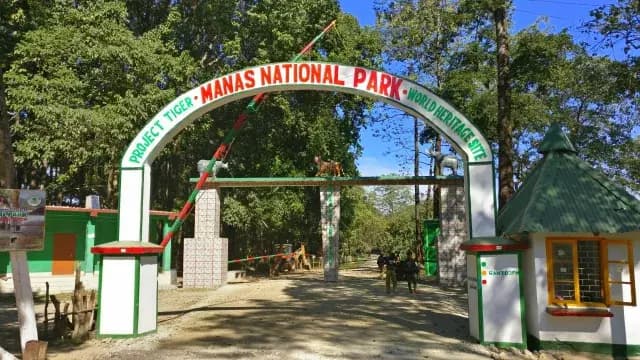 Manas National Park Records Zero Rhino and Tiger Poaching for Three Years