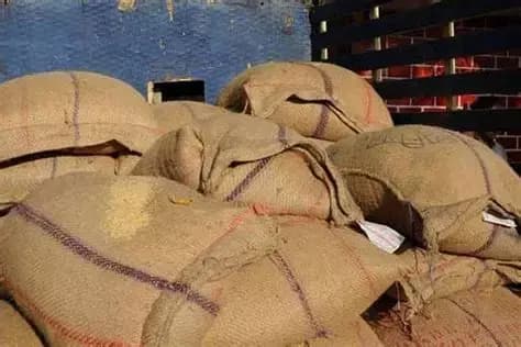 Authorities Seize 650 Bags of PDS Rice in Major Kadapa Raid