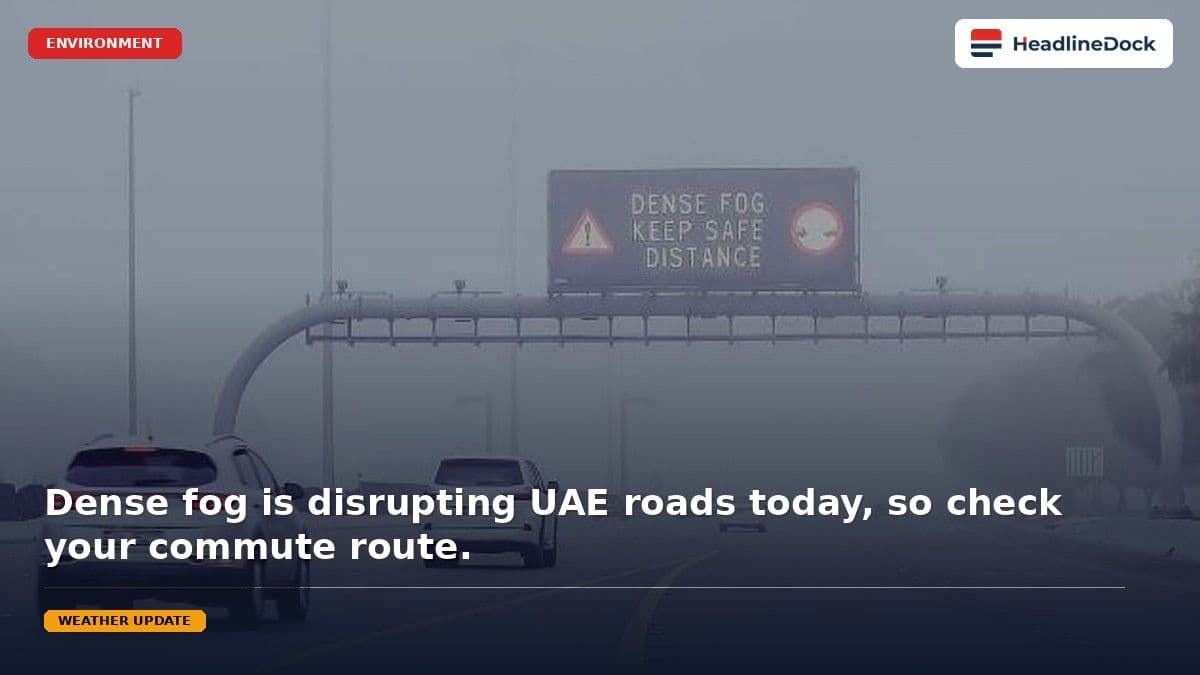 UAE Weather Tomorrow: Fog Alerts and Speed Limits Issued for Commuters
