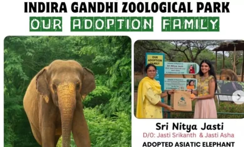 Visakhapatnam Girl Adopts Elephant Sarswati for Special Birthday